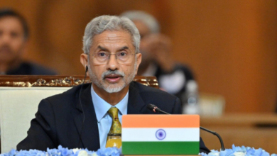 india energy security