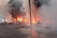 kanpur phoolbagh fruit market