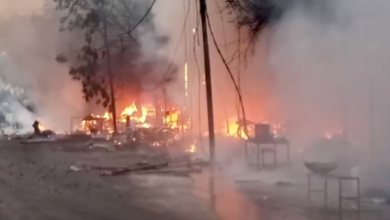 kanpur phoolbagh fruit market
