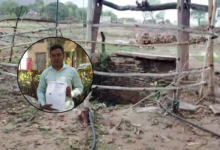 mirzapur manigadha gram panchayat