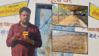 unnao gaushala ground report