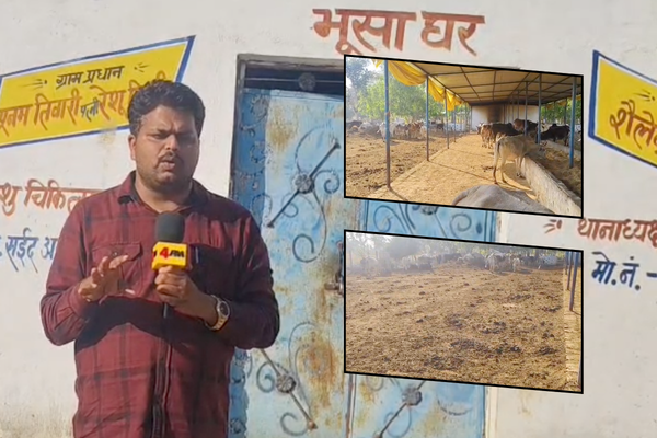 unnao gaushala ground report