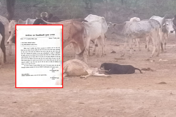 unnao gaushala negligence