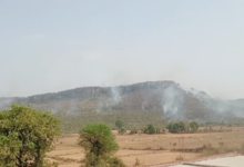 Mirzapur Forest Fire