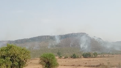 Mirzapur Forest Fire