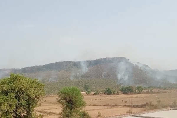 Mirzapur Forest Fire