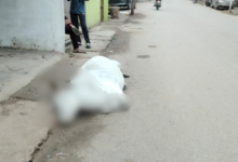 mirzapur cow protection failure