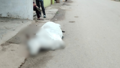 mirzapur cow protection failure