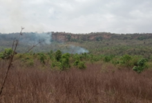 mirzapur drumandganj forest fire