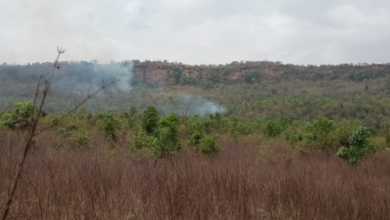mirzapur drumandganj forest fire