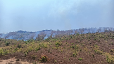 mirzapur forest fire drumandganj