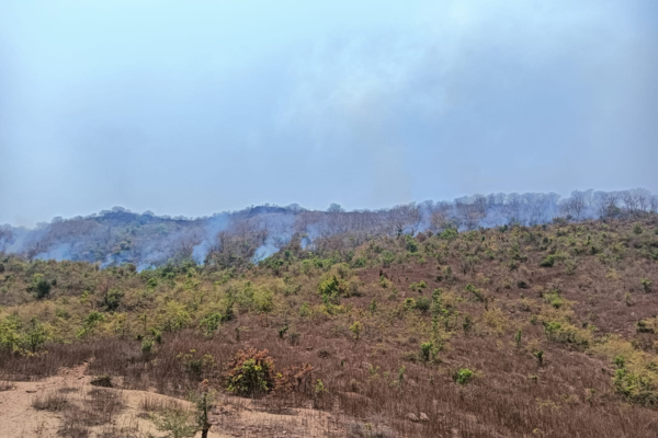 mirzapur forest fire drumandganj