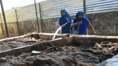 mirzapur gaushala vermi compost