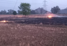 mirzapur stubble burning farm