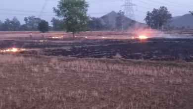 mirzapur stubble burning farm