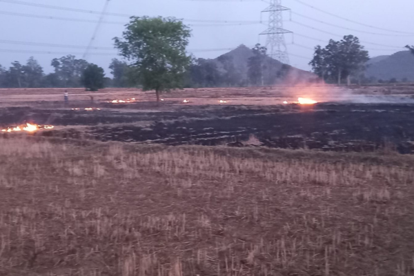mirzapur stubble burning farm