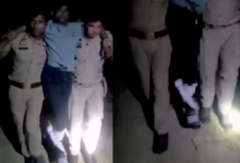badaun buffalo theft case