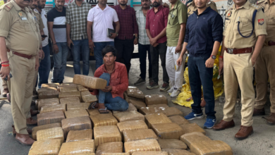 kanpur drug smuggling bust