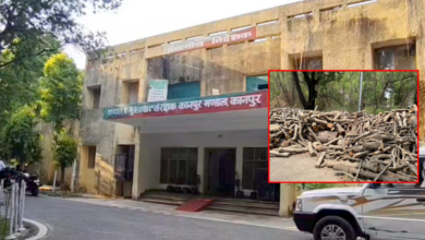 kanpur national sugar institute