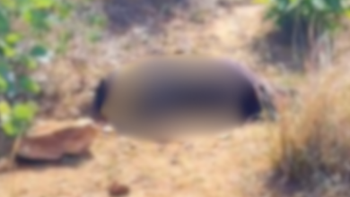 mirzapur unidentified woman body