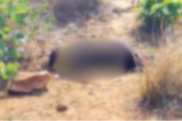 mirzapur unidentified woman body