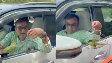 sidhauli mla manish rawat