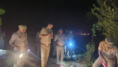 sitapur rampur mathura