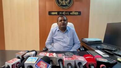 banda maha vriksharopan abhiyan