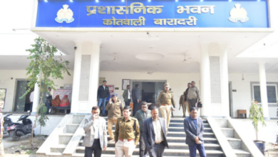 bareilly pharma manager