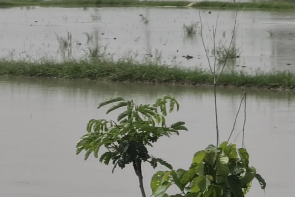 dhaski village waterlogging kaudiram