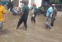 kanpur first rain hallet