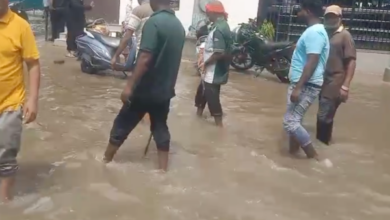 kanpur first rain hallet