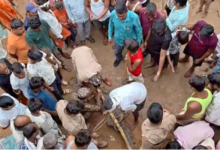 mirzapur crocodile enters house
