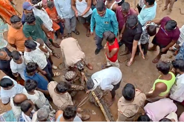 mirzapur crocodile enters house