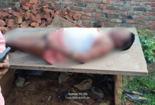 mirzapur farmer electrocuted