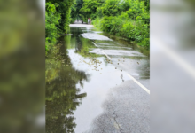 sarayu rajwaha overflow gagaha