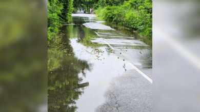 sarayu rajwaha overflow gagaha