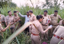 sitapur grandmother murder