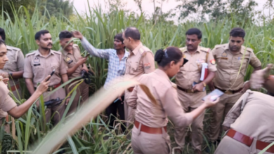sitapur grandmother murder