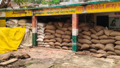 mirzapur wheat procurement