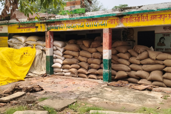 mirzapur wheat procurement