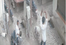 sitapur mahmoodabad goat theft