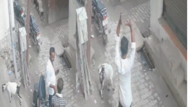 sitapur mahmoodabad goat theft
