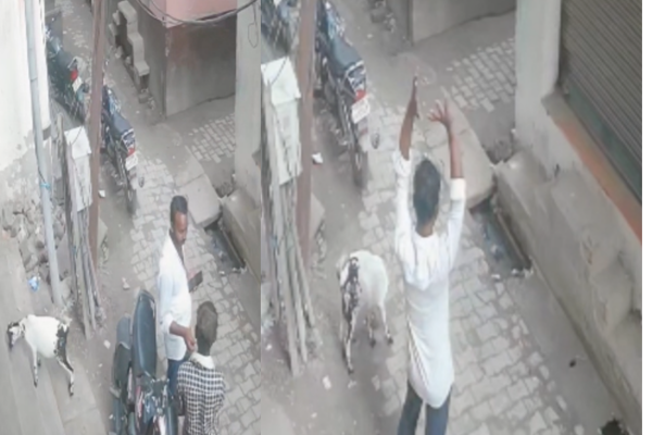 sitapur mahmoodabad goat theft