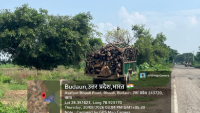 bisauli illegal wood transport