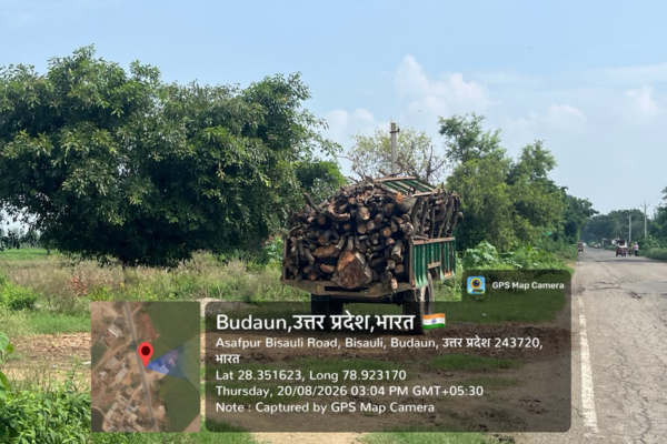 bisauli illegal wood transport