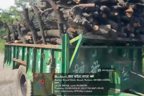 bisauli wood business permit