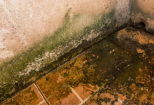 how to remove moss from balcony