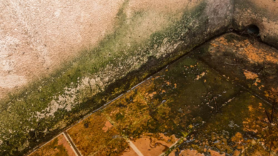how to remove moss from balcony
