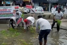 kanpur barra karrahi road